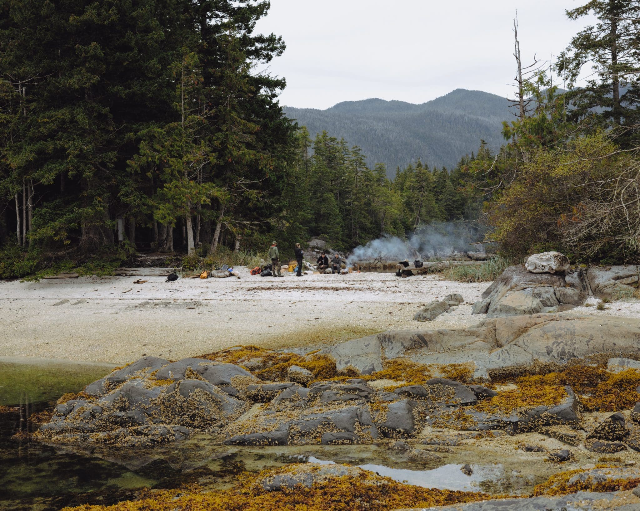 Kwakwaka'wakw guest experience