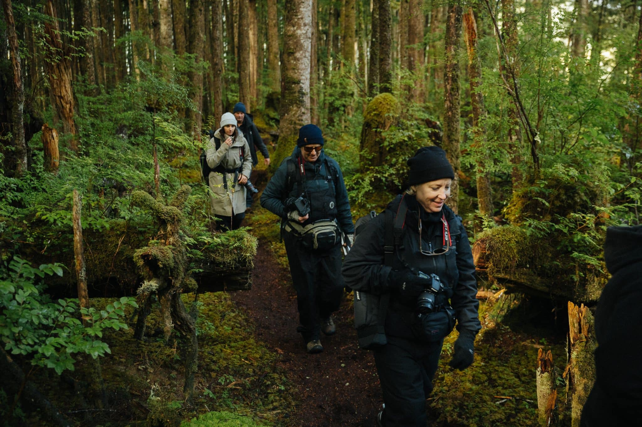 Guests walking through the ancient temperate rainforest with cameras, surrounded by moss-covered trees